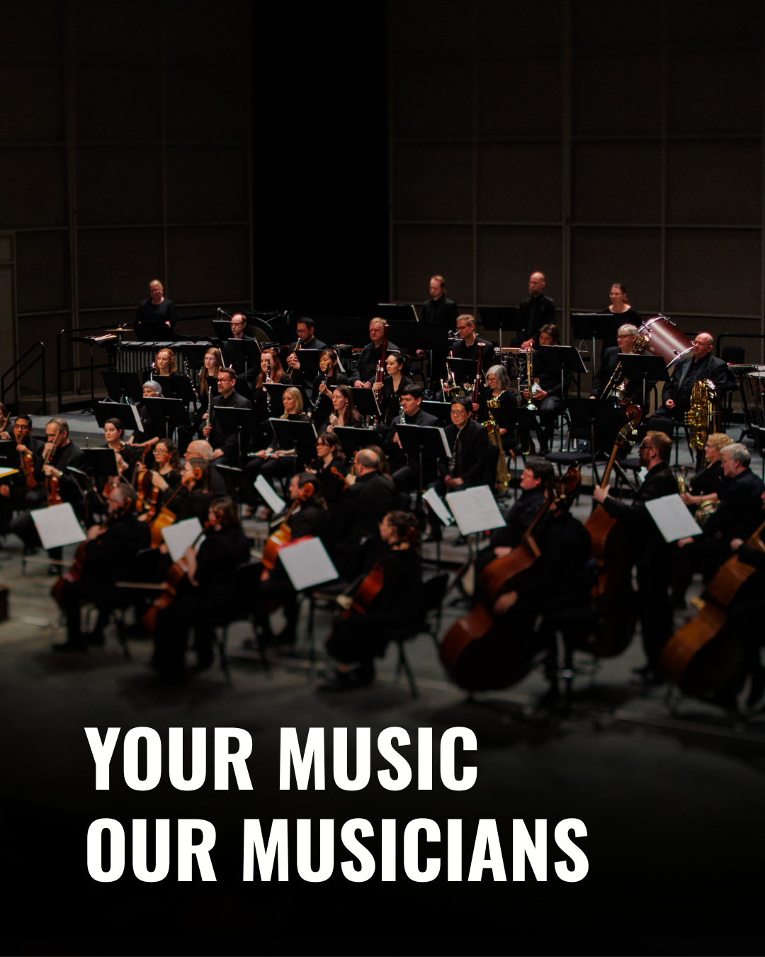 Meet the musicians